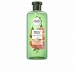 Šampūns Herbal Bio Renew Spīdums Greipfrūts 400 ml