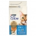 Jídlo pro kočku Purina Cat Chow Dospělý Krocan 1,5 Kg