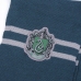 Gorro e Luvas Harry Potter Verde-escuro