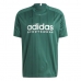 Camiseta de Manga Corta Hombre Adidas TIRO TEE IQ0894 Verde