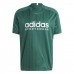 Pánské tričko s krátkým rukávem Adidas TIRO TEE IQ0894 Zelená