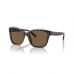 Ladies' Sunglasses Armani EA 4209