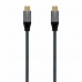 Kabel USB C Aisens A107-0629 2 m Grijs (1)