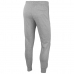 Adult Trousers Nike CLUB JGGR FT BV2679 063  Grey Men