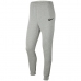 Pantalons de Survêtement pour Enfants  TEAM FLEECE Nike CW6909 063 Gris