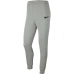 Kalhoty pro dospělé  PARK 20 TEAM Nike CW6907 063  Šedý Pánský
