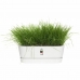 Наружный ящик для растений Elho   Белый 50 cm Пластик