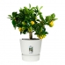 Plant pot Elho 0464344715000 White Circular