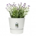 Plant pot Elho 0464344715000 White Circular
