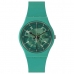 Montre Homme Swatch SO28G108