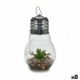 Lykta Guirlanger Lampa Kaktus Glas (8 antal)