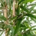 Träd Home ESPRIT Polyester Bambu 40 x 40 x 180 cm
