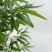 Δέντρο Home ESPRIT πολυεστέρας PVC Bamboo Τσιμέντο 40 x 40 x 180 cm