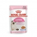 Aliments pour chat Royal Canin Kitten Jelly Poulet 85 g
