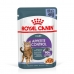 Aliments pour chat Royal Canin APPETITE CONTROL 12 x 85 g