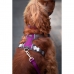 Dog Harness Red Dingo Dingo 30-47 cm 37-52 cm Purple S