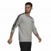 Muška Majica bez Kapuljače Adidas Essentials French Terry 3 Stripes Siva