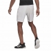 Спортивные мужские шорты Adidas Club Stetch Белый