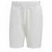 Pantaloni Corti Sportivi da Uomo Adidas Club Stetch Bianco