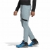 Dlouhé sportovní kalhoty Adidas Terrex Zupahike Světle Modrý Pánský