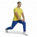 Lühikeste varrukatega T-särk, meeste Adidas  Graphic Tee Shocking Kollane
