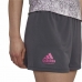 Sport shorts til kvinder Adidas Sort