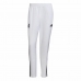 Fotbalové tréninkové kalhoty pro dospělé Adidas Condivo Real Madrid 22 Bílý Pánský