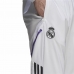 Futbolo treniruočių kelnės suaugusiems Adidas Condivo Real Madrid 22 Balta Vyras