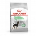 Foder Royal Canin Mini Digestive Vuxen Fåglar 1 kg