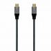 Kabel USB C Aisens A107-0634 2 m Grau