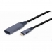 Adaptateur USB C vers DisplayPort GEMBIRD A-USB3C-DPF-01 Gris