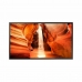Écran Videowall Samsung OM55IN N-S FULL HD 55