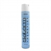 Stærk hårspray Salerm Antifugt (750 ml)