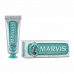 zubní pasta s fluoridem Marvis Mátová Anýz (25 ml)