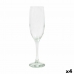 Stiklinių rinkinys LAV Venue Šampanas 6 Dalys 220 ml (4 vnt.)