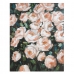 Oljemaleri Roses Furu (80 X 4 x 100 cm)