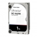 Hard Disk Western Digital 1W10001 3,5