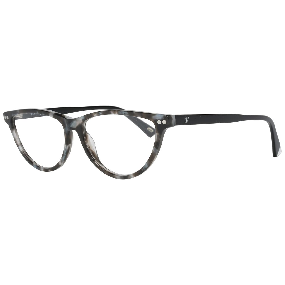 Brillestel Web Eyewear WE5305 55005