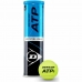 Balles de Tennis Dunlop ATP Official Jaune Multicouleur