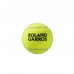 Tenisové loptičky Wilson Roland Garros All Court Žltá