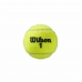 Tennisballen Wilson Roland Garros All Court Geel