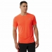 Kortærmet T-shirt til Mænd New Balance Accelerate Orange