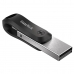 Στικάκι USB SanDisk iXpand Μαύρο Ασημί 64 GB