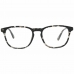 Glasögonbågar WEB EYEWEAR WE5293 52055
