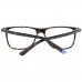 Glasögonbågar WEB EYEWEAR WE5224 54052