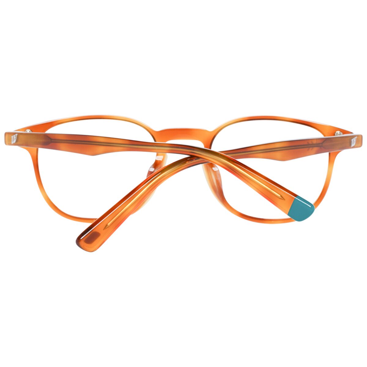 Prilliraam Meeste Web Eyewear WE5280 46053