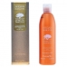 Hranljiv šampon za lase Argan Sublime Farmavita 250 ml 1 L