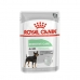 Alimentation humide Royal Canin Digestive Care Viande 12 x 85 g