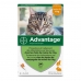 Αντιπαρασιτικά Advantage Γάτα Κουνέλι 1-4 Kg 0,4 ml x6