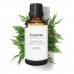 Esenciálny olej Cypress Daffoil Daffoil 100 ml